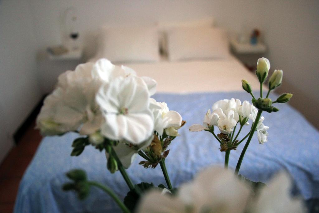 A Casa Da Arvore Bed and Breakfast Vila Nova de Milfontes Camera foto